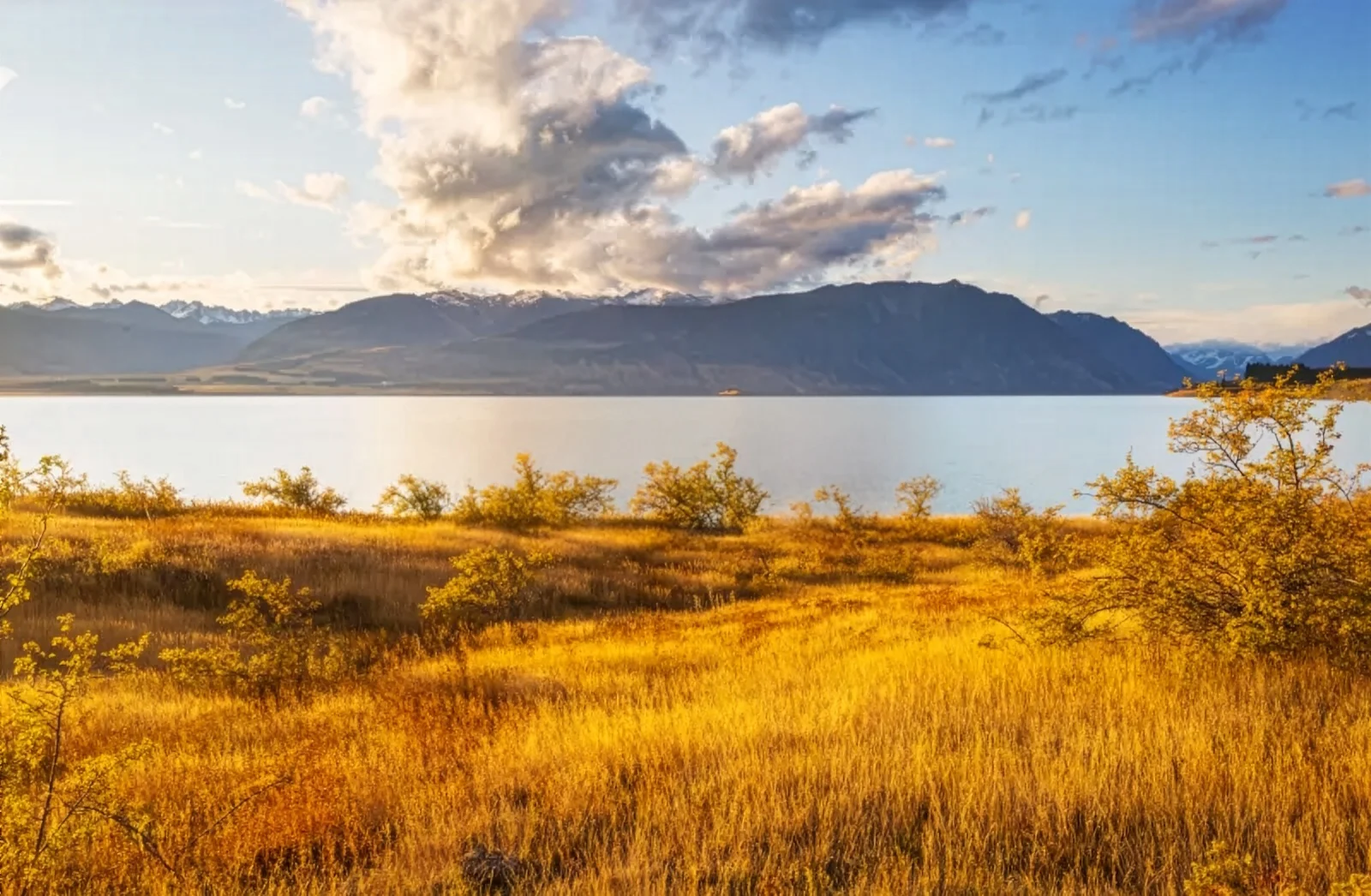 autumn season new zealand mountains autumn new zealand